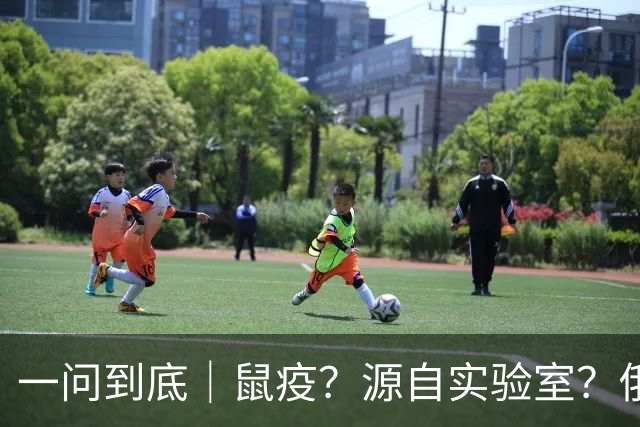 一问到底｜鼠疫？源自实验室？俄罗斯“不明原因肺炎”虚惊一场？