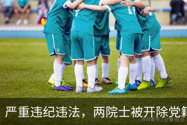 严重违纪违法，两院士被开除党籍