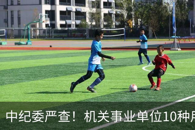 中纪委严查！机关事业单位10种用车行为，直接处理当事人和领导