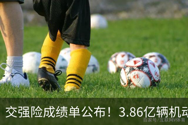 交强险成绩单公布！3.86亿辆机动车参保，赔付支出2524亿元