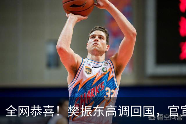 全网恭喜！樊振东高调回国，官宣新身份，多亏马伊琍鼎力相助