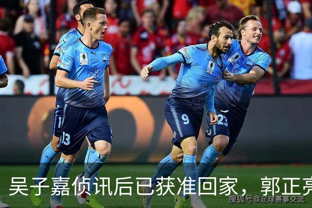 吴子嘉侦讯后已获准回家，郭正亮：他遭司法迫害，最大获利人是徐欣莹