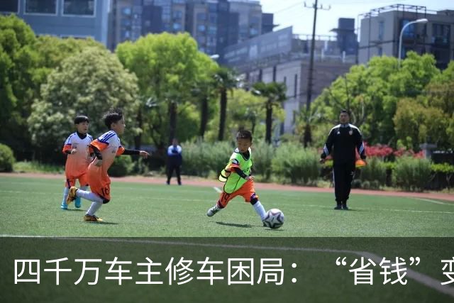四千万车主修车困局：“省钱”变“套牢” 没有豪车命却患豪车病