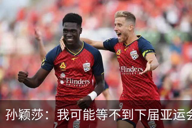 孙颖莎：我可能等不到下届亚运会了