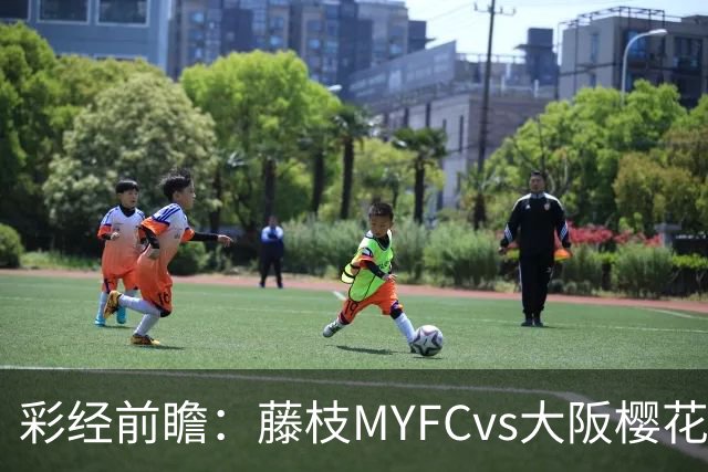 彩经前瞻：藤枝MYFCvs大阪樱花，客队实力占优有望取胜