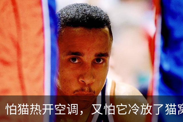 怕猫热开空调，又怕它冷放了猫窝，结果一看监控，绝了！