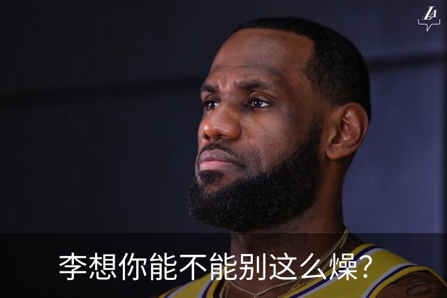 李想你能不能别这么燥？