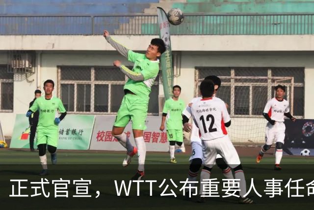 正式官宣，WTT公布重要人事任命，中国乒乓美女被提拔，正式上岗担任总监职务