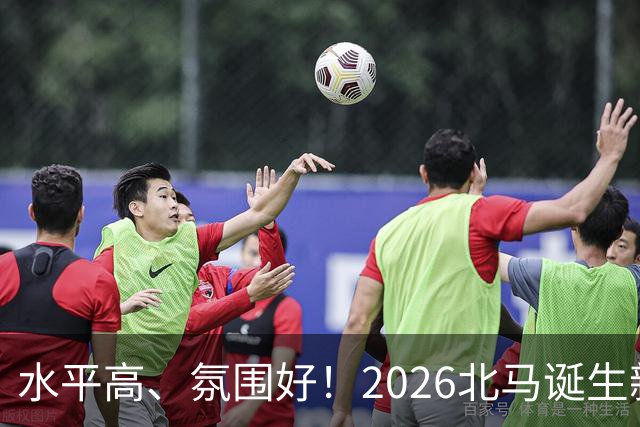 水平高、氛围好！2026北马诞生新纪录，赛事组织获选手认可