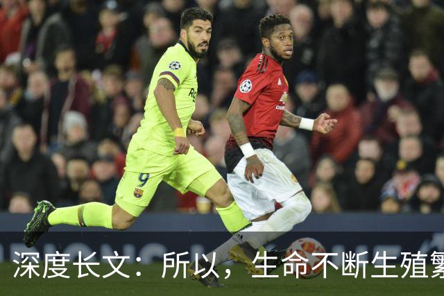 深度长文：所以，生命不断生殖繁衍的意义，到底是什么？