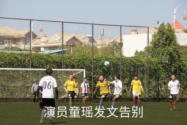演员童瑶发文告别