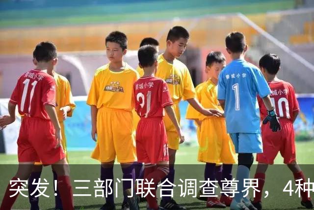 突发！三部门联合调查尊界，4种"可能性"和2个"规范性"