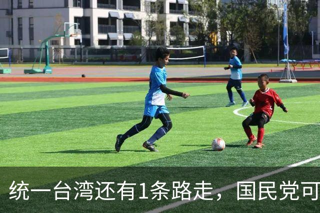 统一台湾还有1条路走，国民党可依法公布，我军无需战争只需平暴