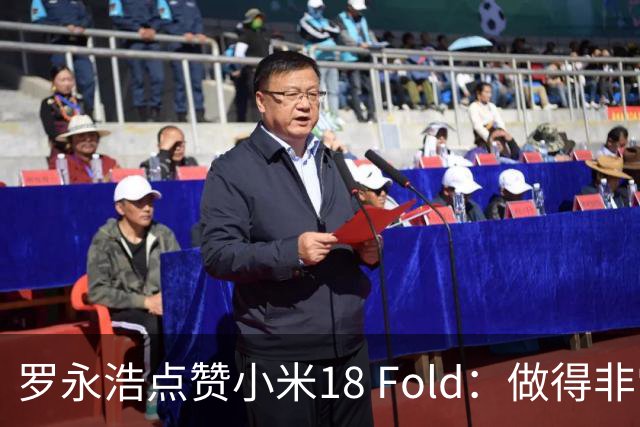 罗永浩点赞小米18 Fold：做得非常漂亮！
