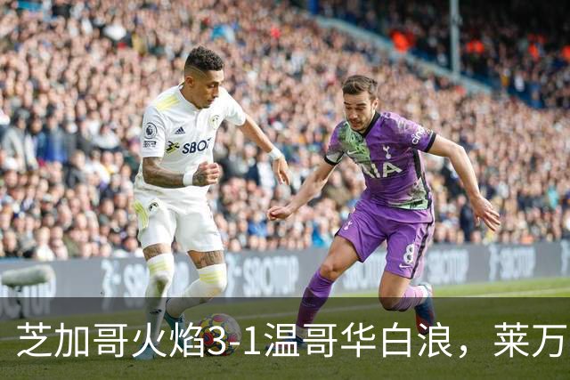 芝加哥火焰3-1温哥华白浪，莱万无私献助攻，辛克尔纳格尔破门+丢点