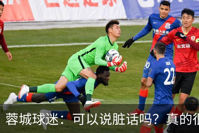 蓉城球迷：可以说脏话吗？真的很丢脸，主教练必须下课