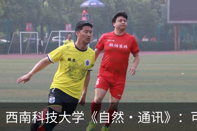 西南科技大学《自然·通讯》：可控释放聚合打造稳健凝胶电极，锂硫电池实用化迈出关键一步