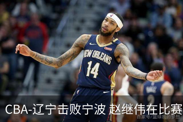 CBA-辽宁击败宁波 赵继伟在比赛中