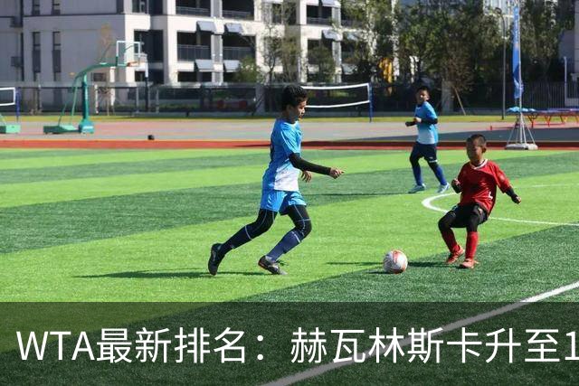 WTA最新排名：赫瓦林斯卡升至11，郑钦文第22，施晗首进Top200